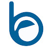 Logo do canal Bluuweb !