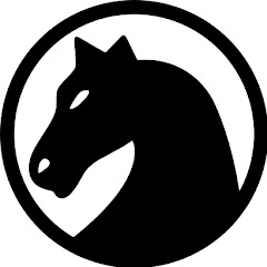 Logo do canal ChessNetwork